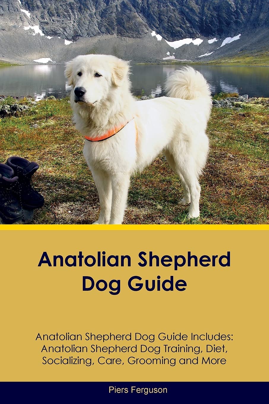 ANATOLIAN SHEPHERD DOG GD ANAT: Anatolian Shepherd Dog Training, Diet, Socializing, Care, Grooming, Breeding and More Pets