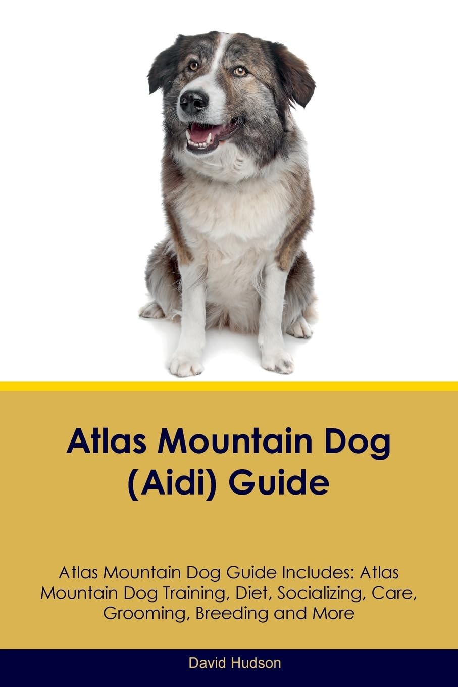 ATLAS MOUNTAIN DOG (AIDI) GD A: Atlas Mountain Dog Training, Diet, Socializing, Care, Grooming, Breeding and More Pets