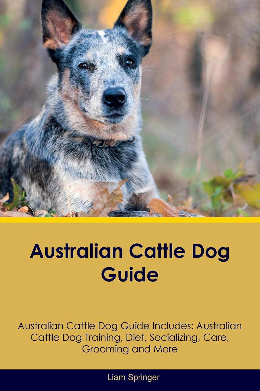 AUSTRALIAN CATTLE DOG GD AUSTR: Australian Cattle Dog Training, Diet, Socializing, Care, Grooming, Breeding and More Pets