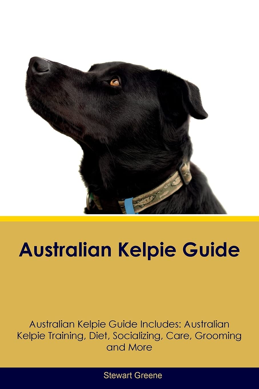 AUSTRALIAN KELPIE GD AUSTRALIA: Australian Kelpie Training, Diet, Socializing, Care, Grooming, Breeding and More Pets