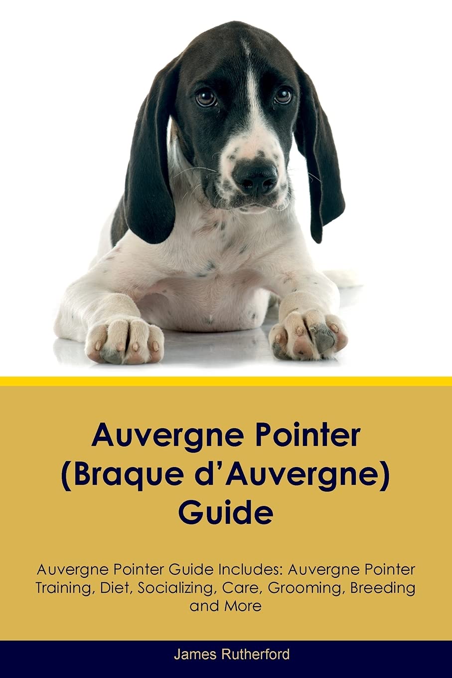 Auvergne Pointer (Braque d'Auvergne) Guide Auvergne Pointer Guide Includes: Auvergne Pointer Training, Diet, Socializing, Care, Grooming, Breeding ... Care, Grooming, Breeding and More Pets