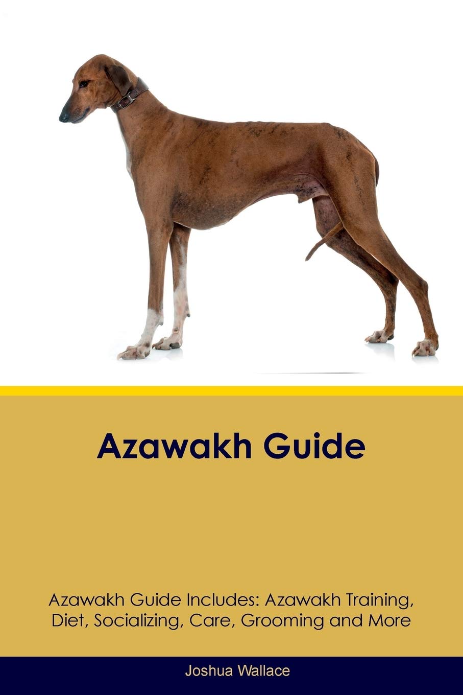 Azawakh Guide Azawakh Guide Includes: Azawakh Training, Diet, Socializing, Care, Grooming, Breeding and More Pets