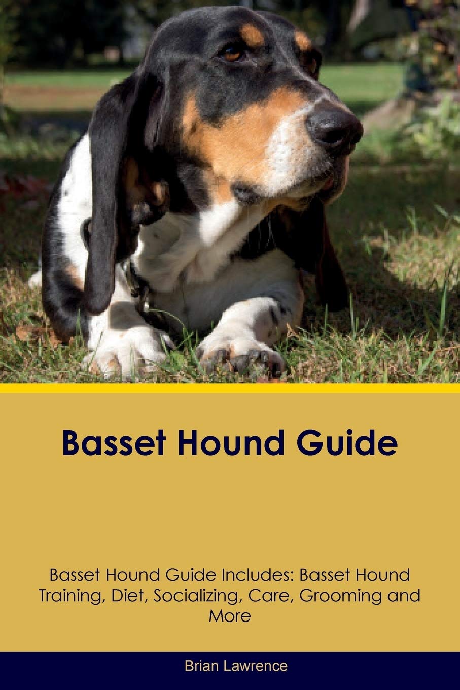 BASSET HOUND GD BASSET HOUND G: Basset Hound Training, Diet, Socializing, Care, Grooming, Breeding and More Pets