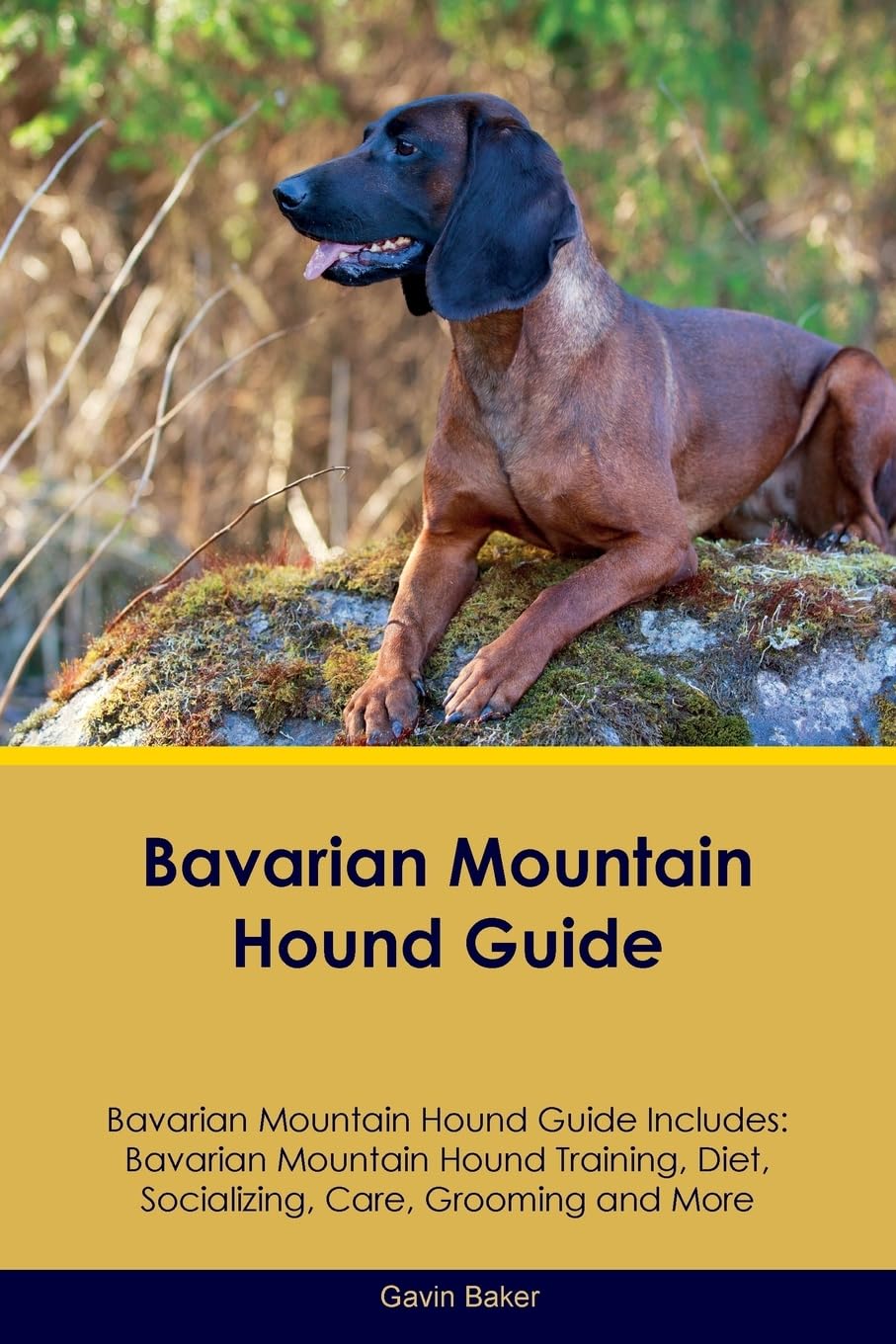 BAVARIAN MOUNTAIN HOUND GD BAV: Bavarian Mountain Hound Training, Diet, Socializing, Care, Grooming, Breeding and More Pets