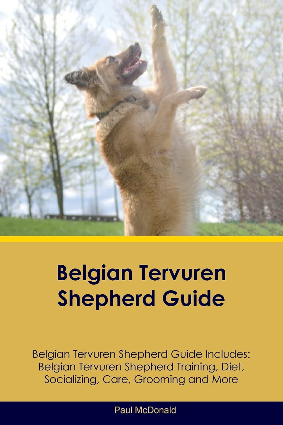 BELGIAN TERVUREN SHEPHERD GD B: Belgian Tervuren Shepherd Training, Diet, Socializing, Care, Grooming, Breeding and More Pets