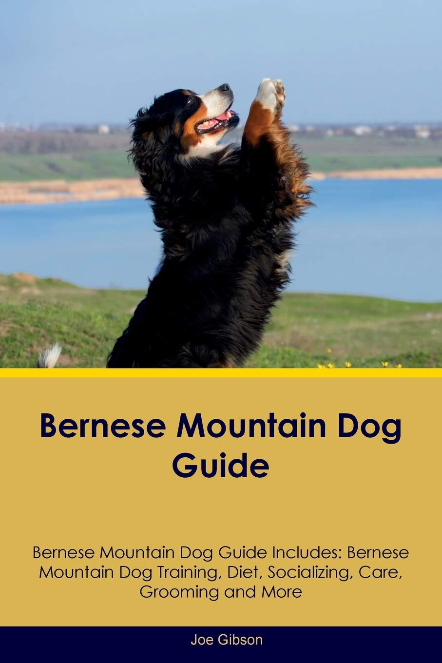 Bernese Mountain Dog Guide Bernese Mountain Dog Guide Includes: Bernese Mountain Dog Training, Diet, Socializing, Care, Grooming, Breeding and More Pets