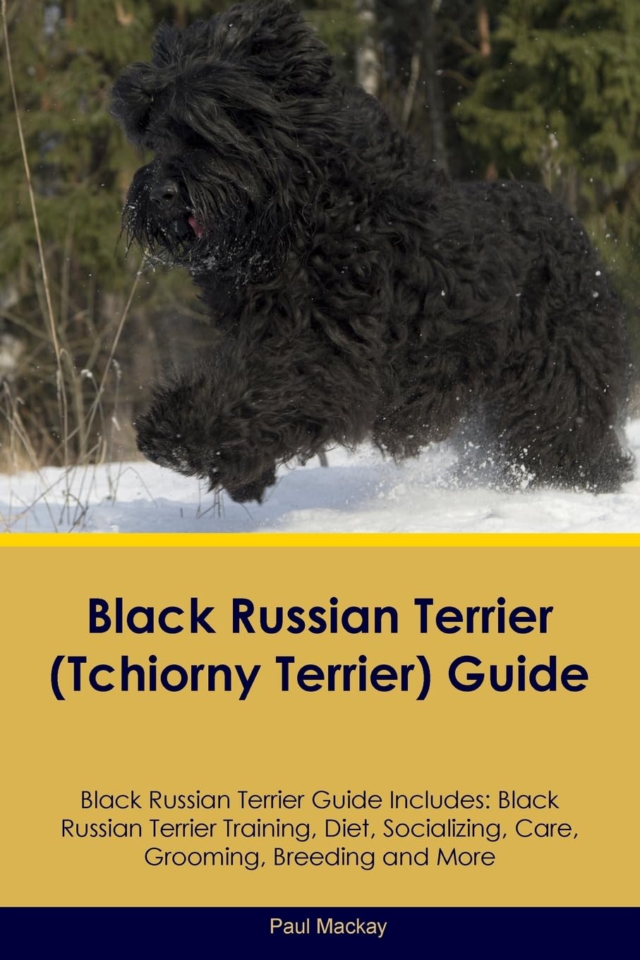 BLACK RUSSIAN TERRIER (TCHIORN: Black Russian Terrier Training, Diet, Socializing, Care, Grooming, Breeding and More Pets