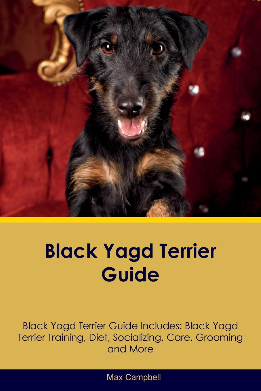 BLACK YAGD TERRIER GD BLACK YA: Black Yagd Terrier Training, Diet, Socializing, Care, Grooming, Breeding and More Pets