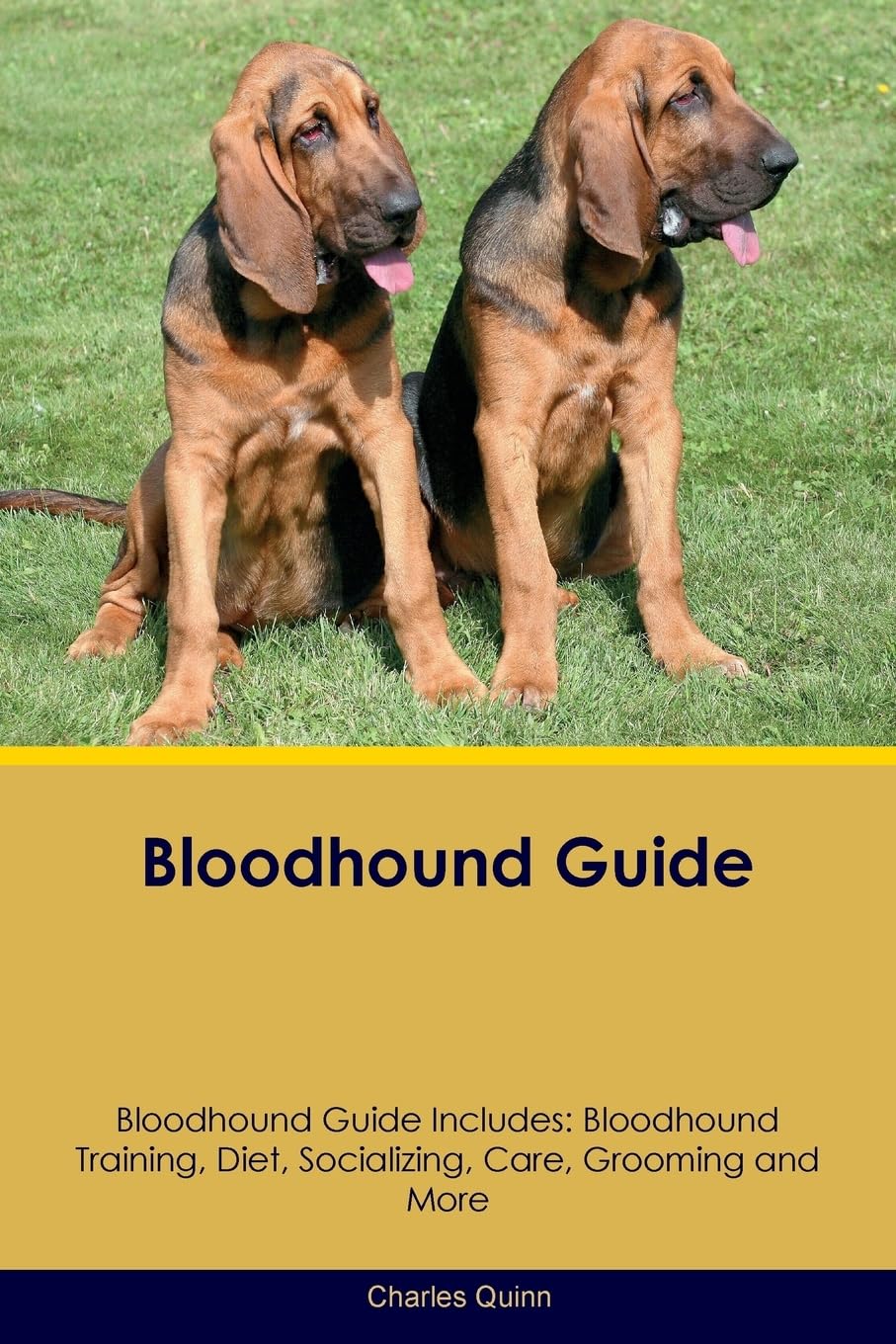 BLOODHOUND GD BLOODHOUND GD IN: Bloodhound Training, Diet, Socializing, Care, Grooming, Breeding and More Pets