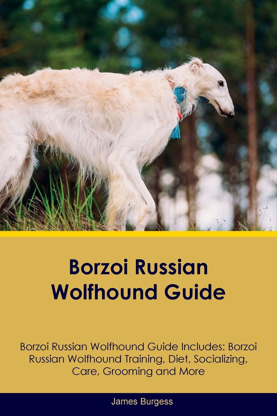 BORZOI RUSSIAN WOLFHOUND GD BO: Borzoi Russian Wolfhound Training, Diet, Socializing, Care, Grooming, Breeding and More Pets