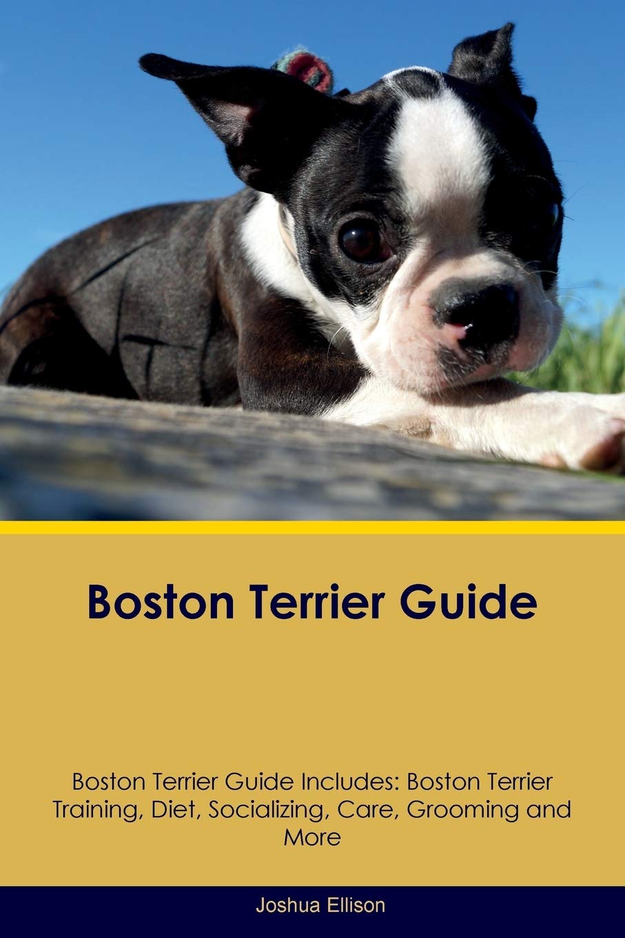 BOSTON TERRIER GD BOSTON TERRI: Boston Terrier Training, Diet, Socializing, Care, Grooming, Breeding and More Pets