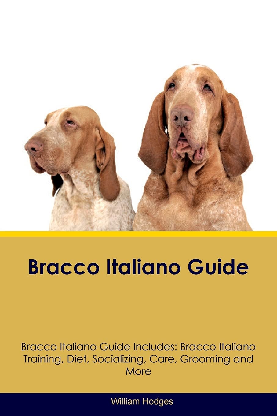 BRACCO ITALIANO GD BRACCO ITAL: Bracco Italiano Training, Diet, Socializing, Care, Grooming, Breeding and More Pets