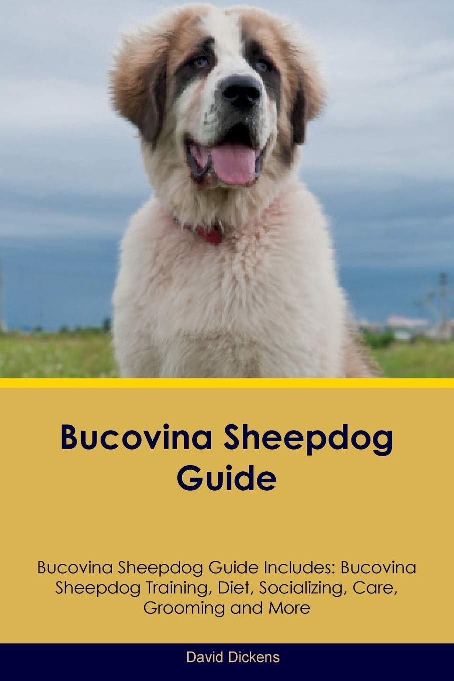 BUCOVINA SHEEPDOG GD BUCOVINA: Bucovina Sheepdog Training, Diet, Socializing, Care, Grooming, Breeding and More Pets