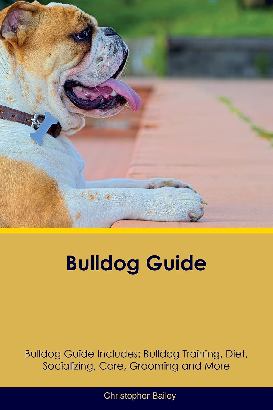 BULLDOG GD BULLDOG GD INCLUDES: Bulldog Training, Diet, Socializing, Care, Grooming, Breeding and More Pets
