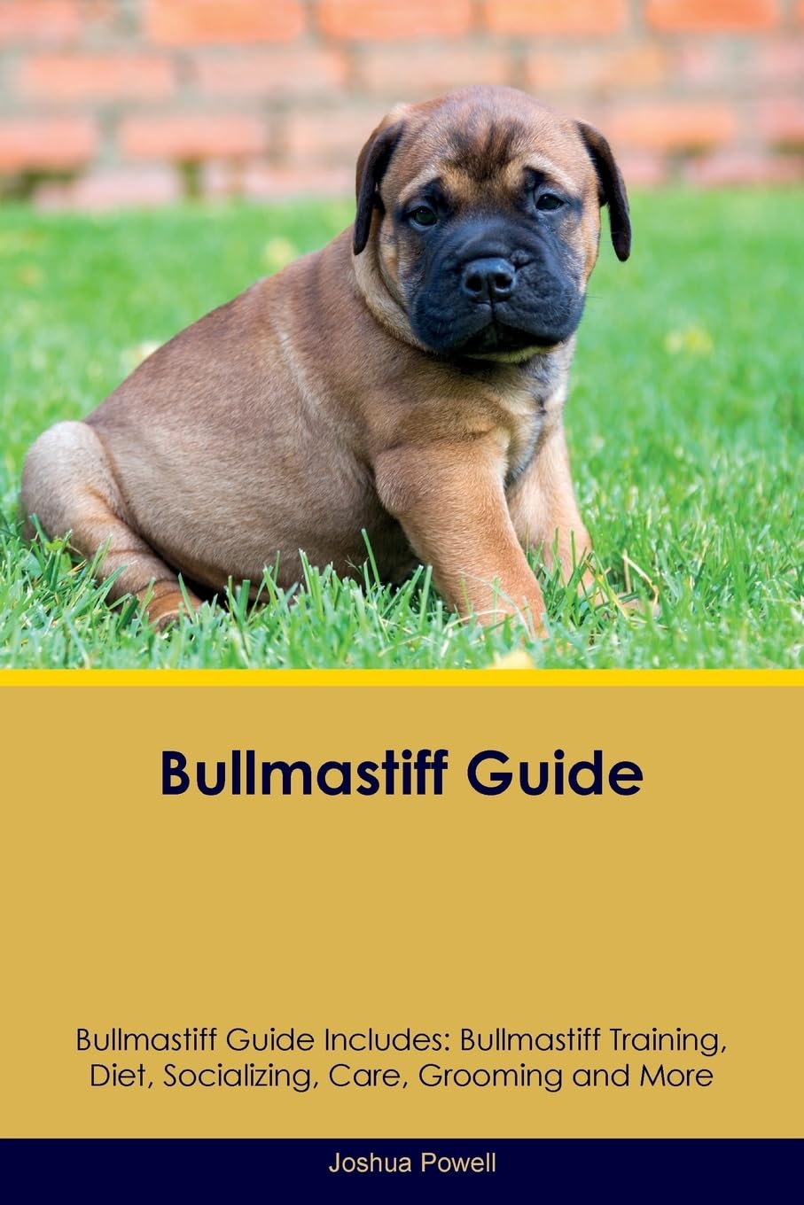 BULLMASTIFF GD BULLMASTIFF GD: Bullmastiff Training, Diet, Socializing, Care, Grooming, Breeding and More Pets