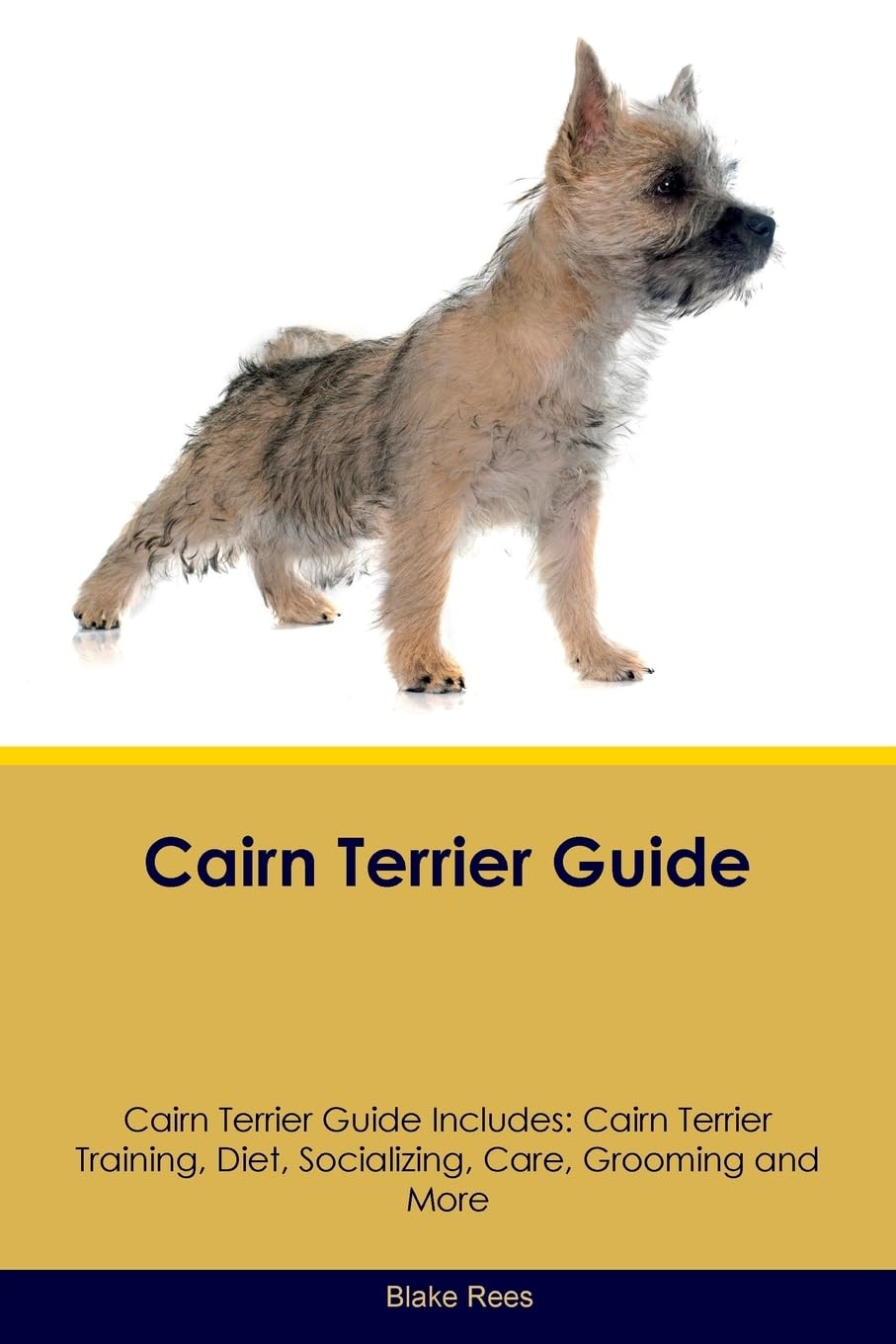 CAIRN TERRIER GD CAIRN TERRIER: Cairn Terrier Training, Diet, Socializing, Care, Grooming, Breeding and More Pets