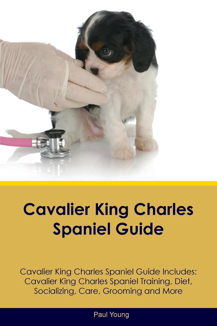 CAVALIER KING CHARLES SPANIEL: Cavalier King Charles Spaniel Training, Diet, Socializing, Care, Grooming, Breeding and More Pets