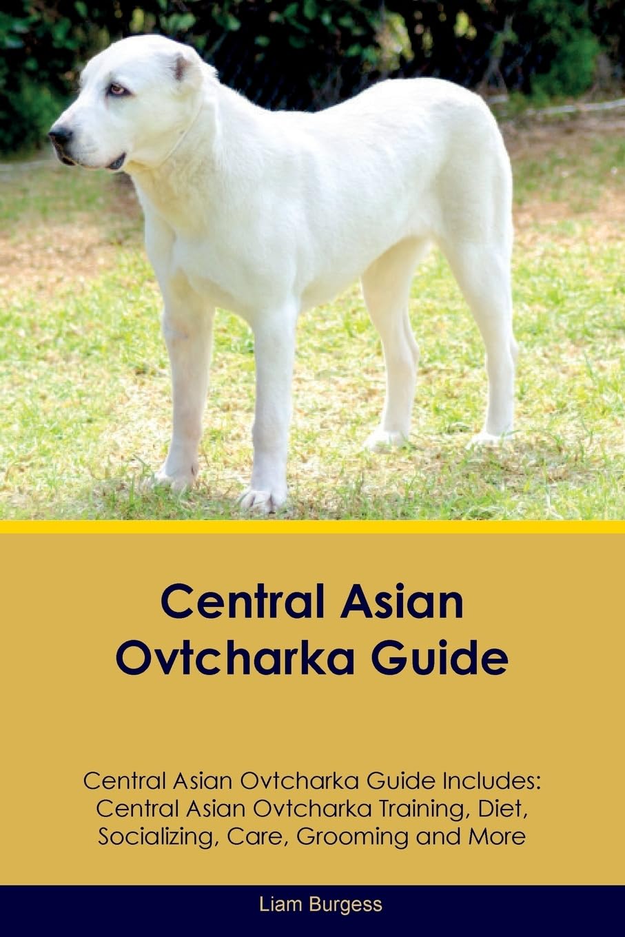 CENTRAL ASIAN OVTCHARKA GD CEN: Central Asian Ovtcharka Training, Diet, Socializing, Care, Grooming, Breeding and More Pets