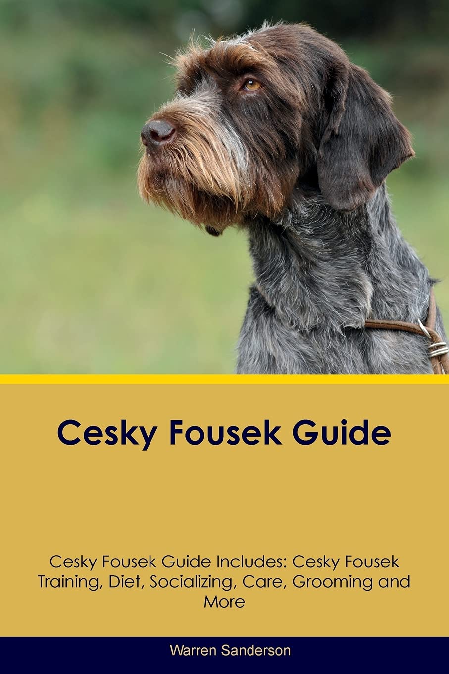 CESKY FOUSEK GD CESKY FOUSEK G: Cesky Fousek Training, Diet, Socializing, Care, Grooming, Breeding and More Pets
