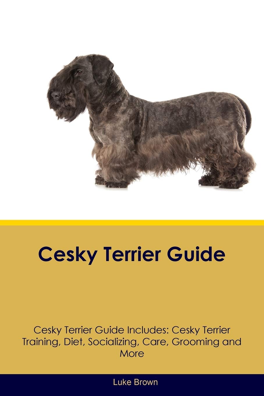 CESKY TERRIER GD CESKY TERRIER: Cesky Terrier Training, Diet, Socializing, Care, Grooming, Breeding and More Pets
