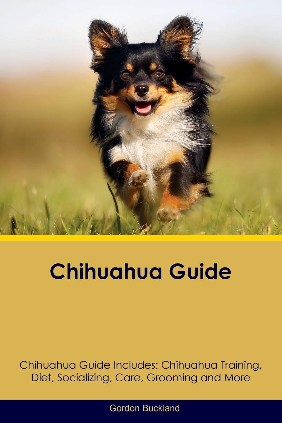 CHIHUAHUA GD CHIHUAHUA GD INCL: Chihuahua Training, Diet, Socializing, Care, Grooming, Breeding and More Pets