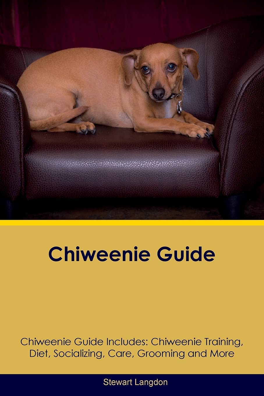 CHIWEENIE GD CHIWEENIE GD INCL: Chiweenie Training, Diet, Socializing, Care, Grooming, Breeding and More Pets