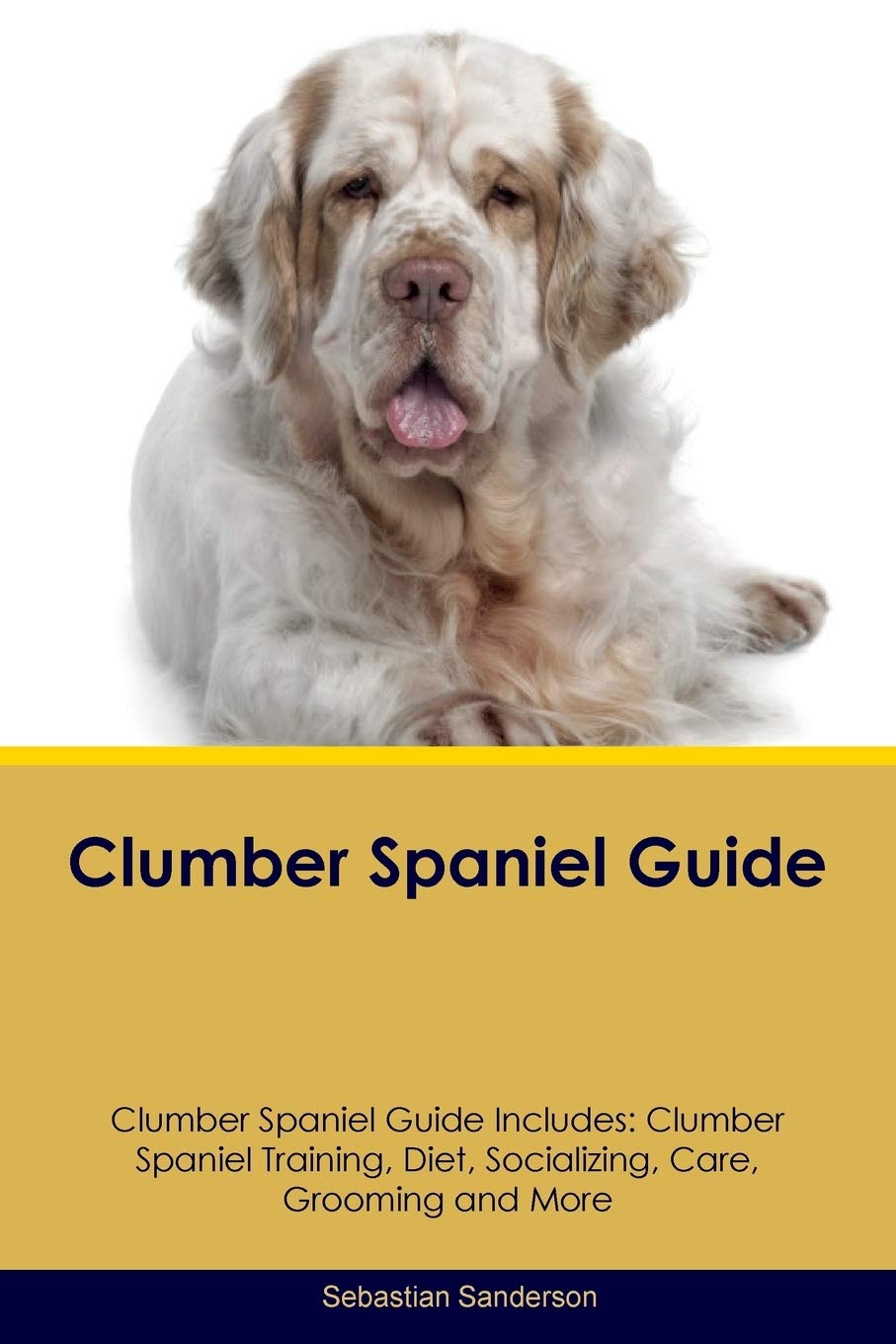 CLUMBER SPANIEL GD CLUMBER SPA: Clumber Spaniel Training, Diet, Socializing, Care, Grooming, Breeding and More Pets