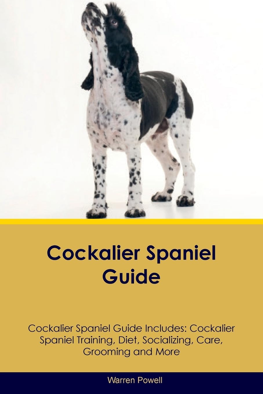 COCKALIER SPANIEL GD COCKALIER: Cockalier Spaniel Training, Diet, Socializing, Care, Grooming, Breeding and More Pets
