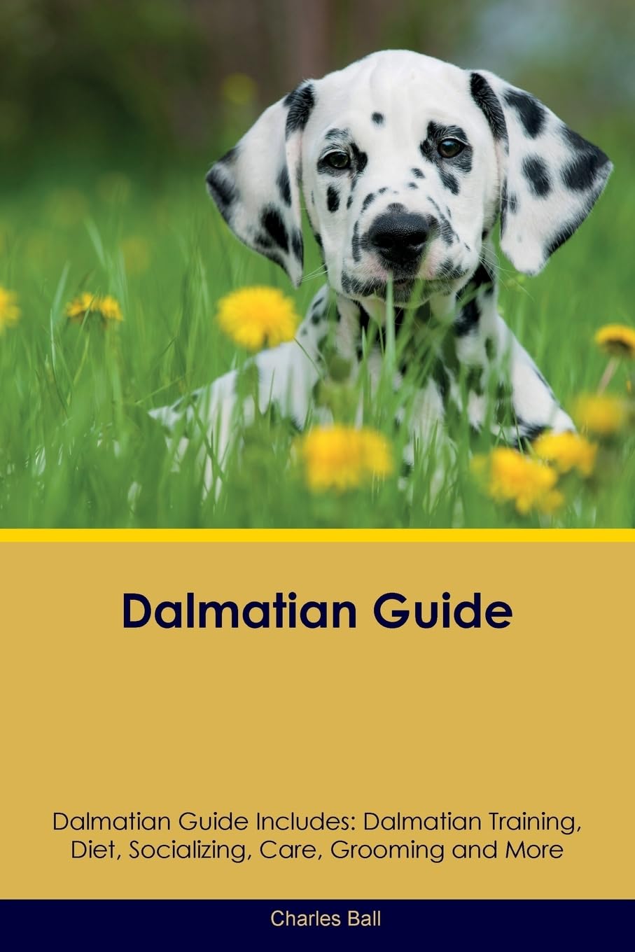 DALMATIAN GD DALMATIAN GD INCL: Dalmatian Training, Diet, Socializing, Care, Grooming, Breeding and More Pets