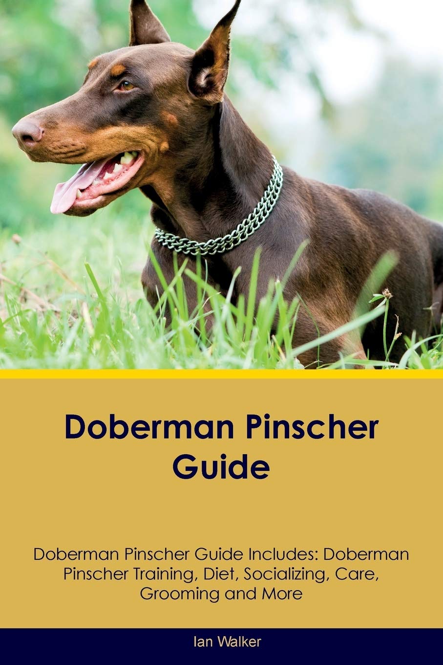 Doberman Pinscher Guide Doberman Pinscher Guide Includes: Doberman Pinscher Training, Diet, Socializing, Care, Grooming, Breeding and More Pets