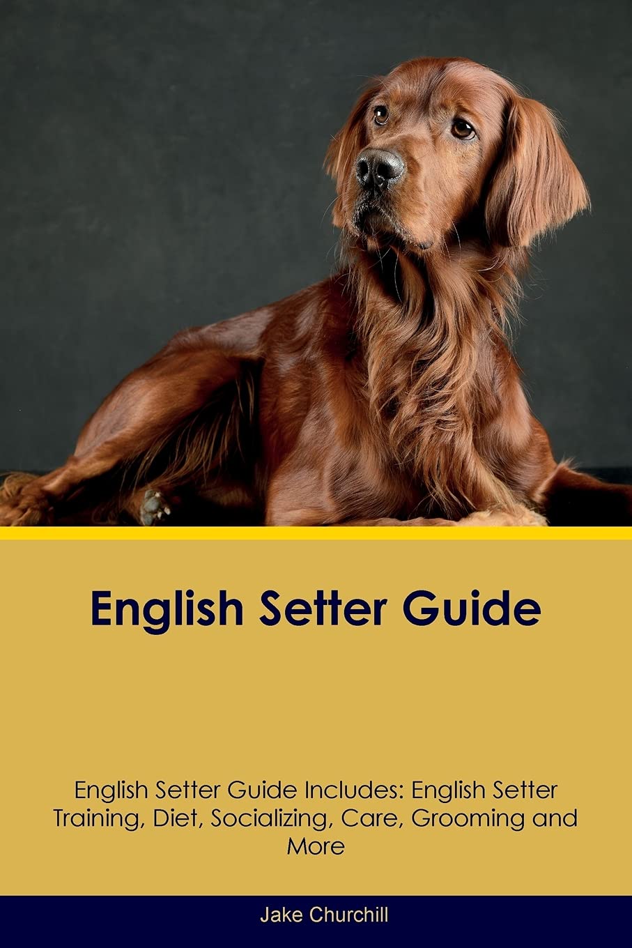 ENGLISH SETTER GD ENGLISH SETT: English Setter Training, Diet, Socializing, Care, Grooming, Breeding and More Pets
