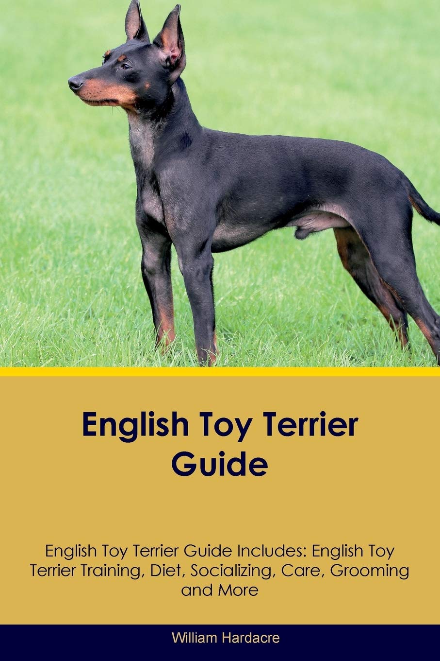 ENGLISH TOY TERRIER GD ENGLISH: English Toy Terrier Training, Diet, Socializing, Care, Grooming, Breeding and More Pets