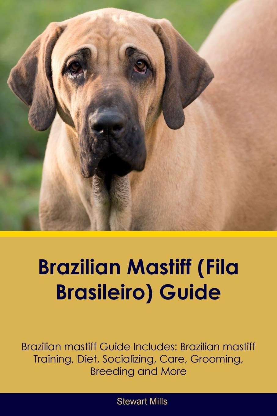 Brazilian mastiff (Fila Brasileiro) Guide Brazilian mastiff Guide Includes: Brazilian mastiff Training, Diet, Socializing, Care, Grooming, Breeding ... Care, Grooming, Breeding and More Pets