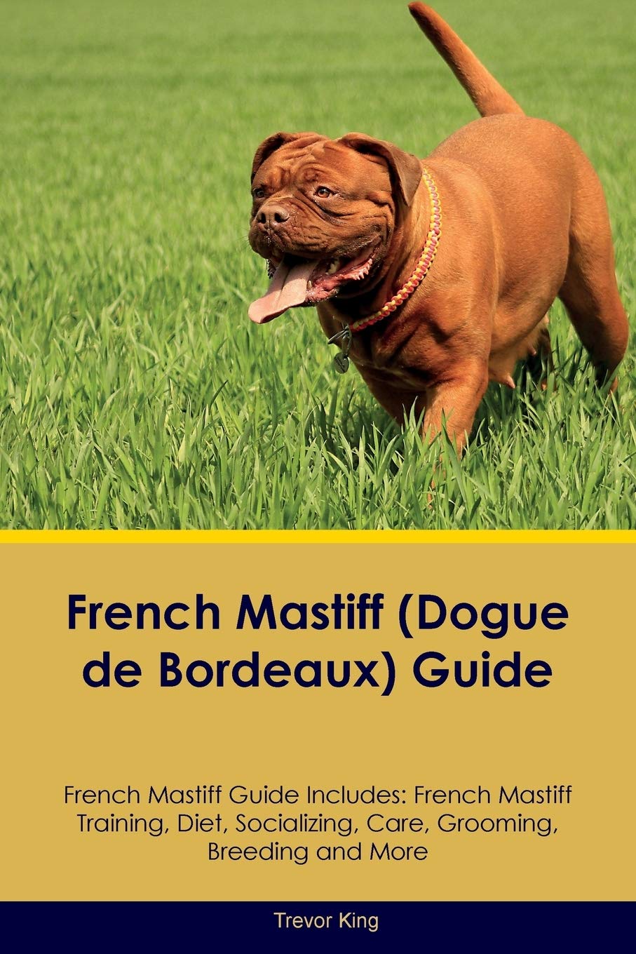 French Mastiff (Dogue de Bordeaux) Guide French Mastiff Guide Includes: French Mastiff Training, Diet, Socializing, Care, Grooming, Breeding and More Pets