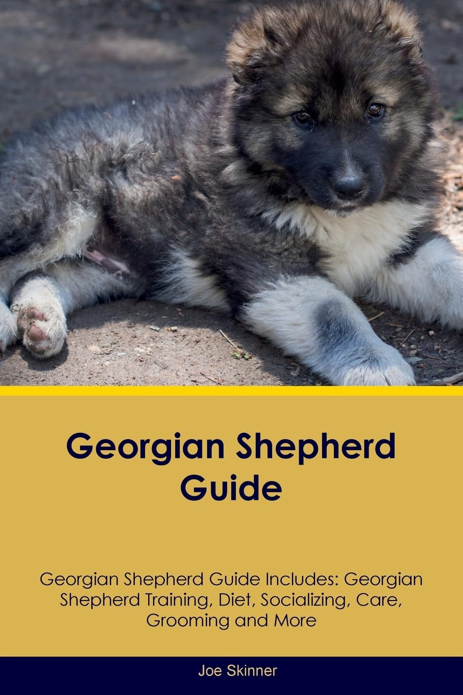 GEORGIAN SHEPHERD GD GEORGIAN: Georgian Shepherd Training, Diet, Socializing, Care, Grooming, Breeding and More Pets