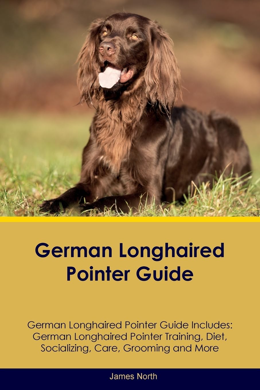 GERMAN LONGHAIRED POINTER GD G: German Longhaired Pointer Training, Diet, Socializing, Care, Grooming, Breeding and More Pets