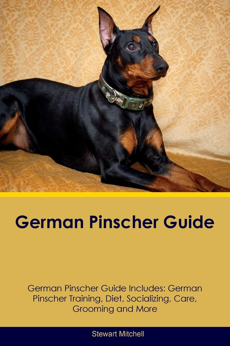 GERMAN PINSCHER GD GERMAN PINS: German Pinscher Training, Diet, Socializing, Care, Grooming, Breeding and More Pets
