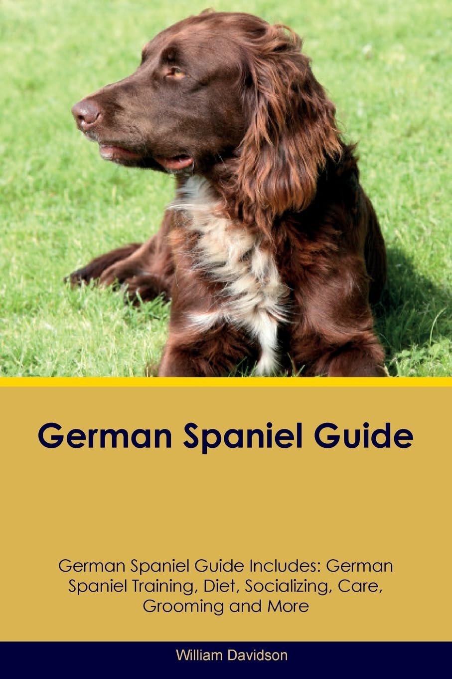 GERMAN SPANIEL GD GERMAN SPANI: German Spaniel Training, Diet, Socializing, Care, Grooming, Breeding and More Pets