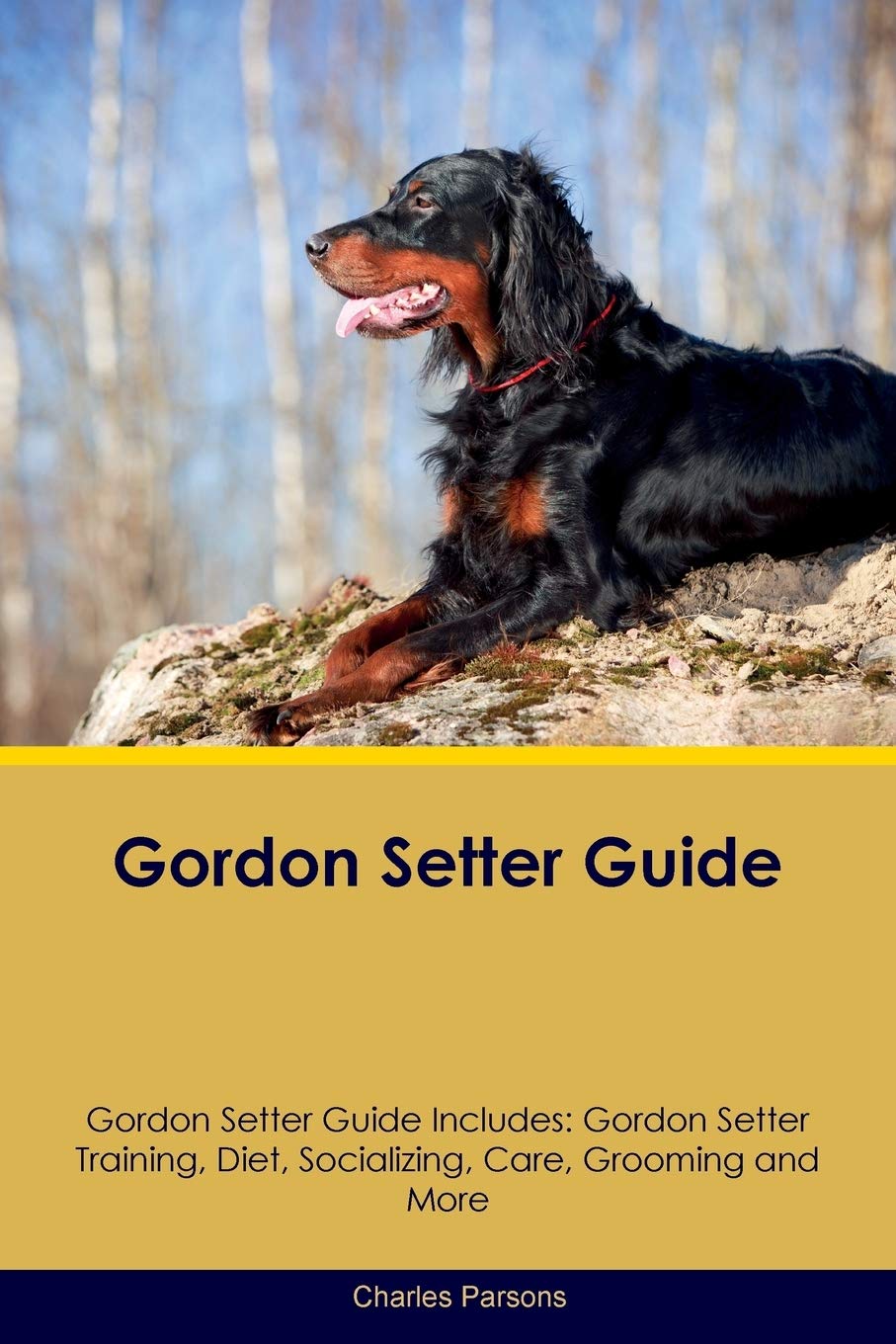 GORDON SETTER GD GORDON SETTER: Gordon Setter Training, Diet, Socializing, Care, Grooming, Breeding and More Pets