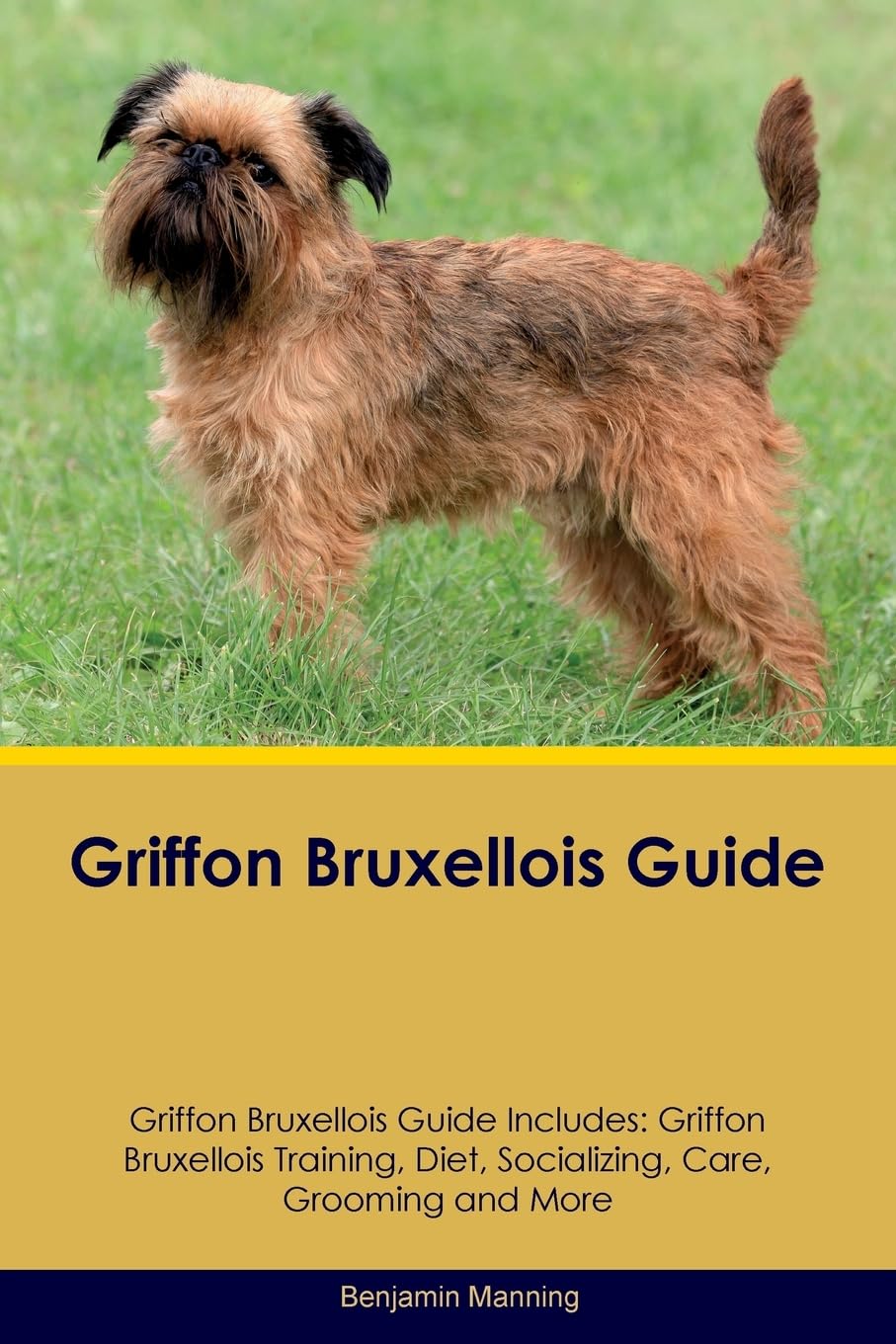 GRIFFON BRUXELLOIS GD GRIFFON: Griffon Bruxellois Training, Diet, Socializing, Care, Grooming, Breeding and More Pets