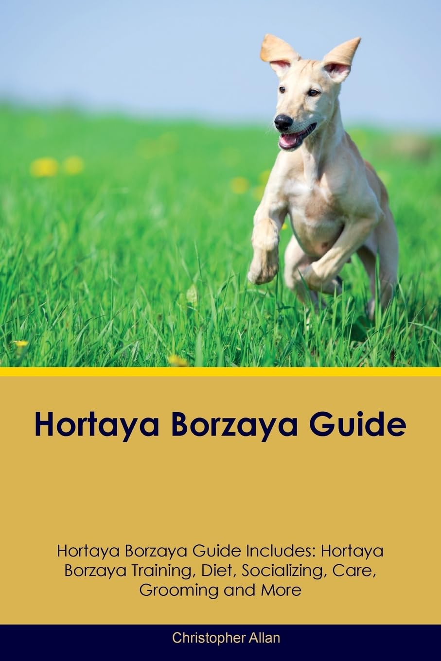 HORTAYA BORZAYA GD HORTAYA BOR: Hortaya Borzaya Training, Diet, Socializing, Care, Grooming, Breeding and More Pets