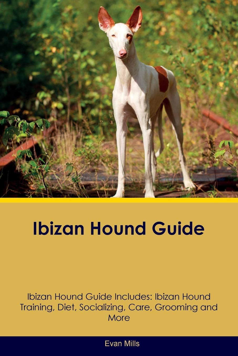 IBIZAN HOUND GD IBIZAN HOUND G: Ibizan Hound Training, Diet, Socializing, Care, Grooming, Breeding and More Pets
