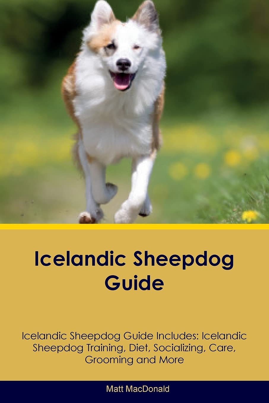 ICELANDIC SHEEPDOG GD ICELANDI: Icelandic Sheepdog Training, Diet, Socializing, Care, Grooming, Breeding and More Pets