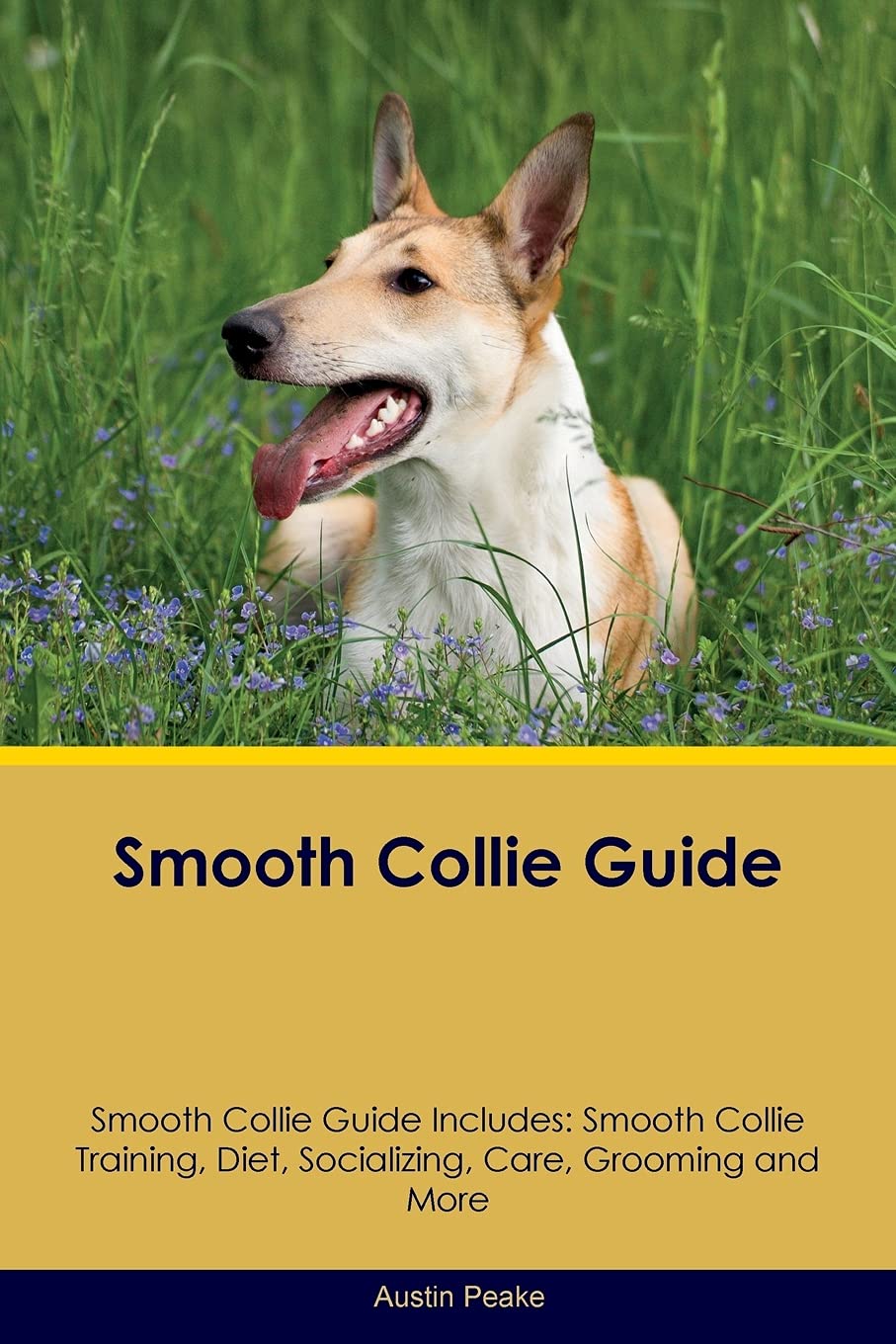 Smooth Collie Guide Smooth Collie Guide Includes: Smooth Collie Training, Diet, Socializing, Care, Grooming, Breeding and More book