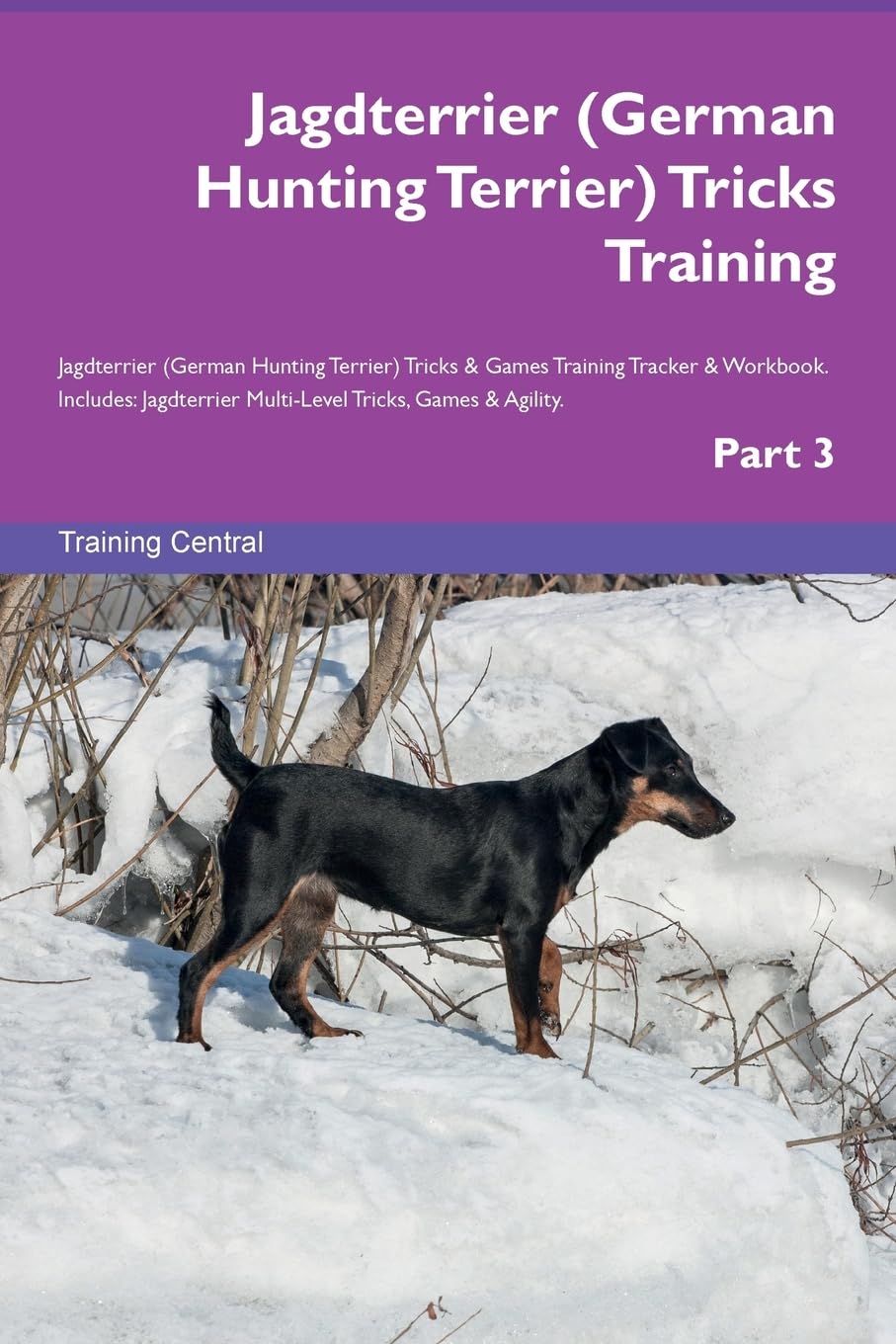 Jagdterrier (German Hunting Terrier) Tricks Training Jagdterrier (German Hunting Terrier) Tricks & Games Training Tracker & Workbook. Includes: ... Multi-Level Tricks, Games & Agility. Part 3 Pets