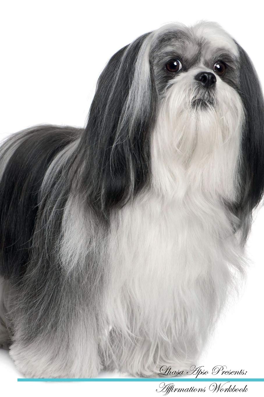 Lhasa Apso Affirmations Workbook Lhasa Apso Presents: Positive and Loving Affirmations Workbook. Includes: Mentoring Questions, Guidance, Supporting ... Questions, Guidance, Supporting You. Pets