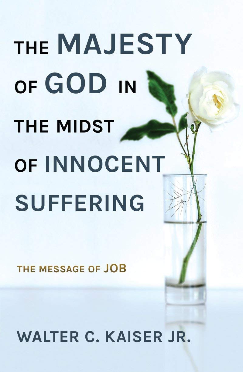 The Majesty of God in the Midst of Innocent Suffering: The Message of Job Religion & Esotericism