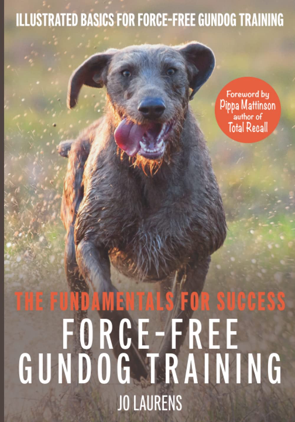 Force-Free Gundog Training: The Fundamentals for Success Pets