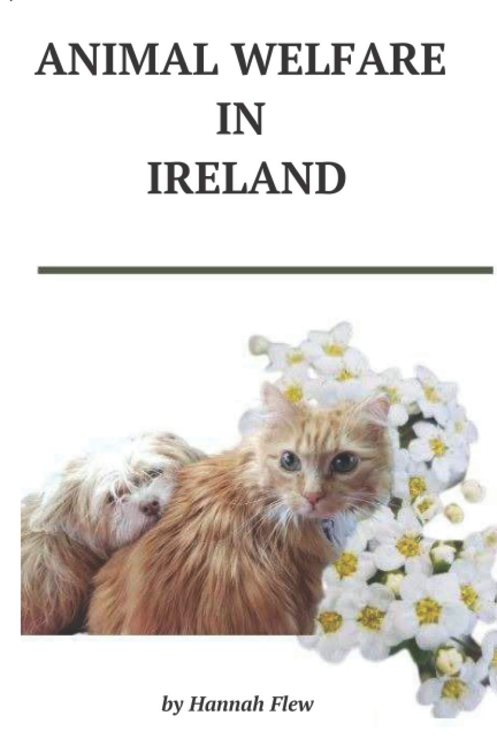 Animal Welfare in Ireland: Animal Care book