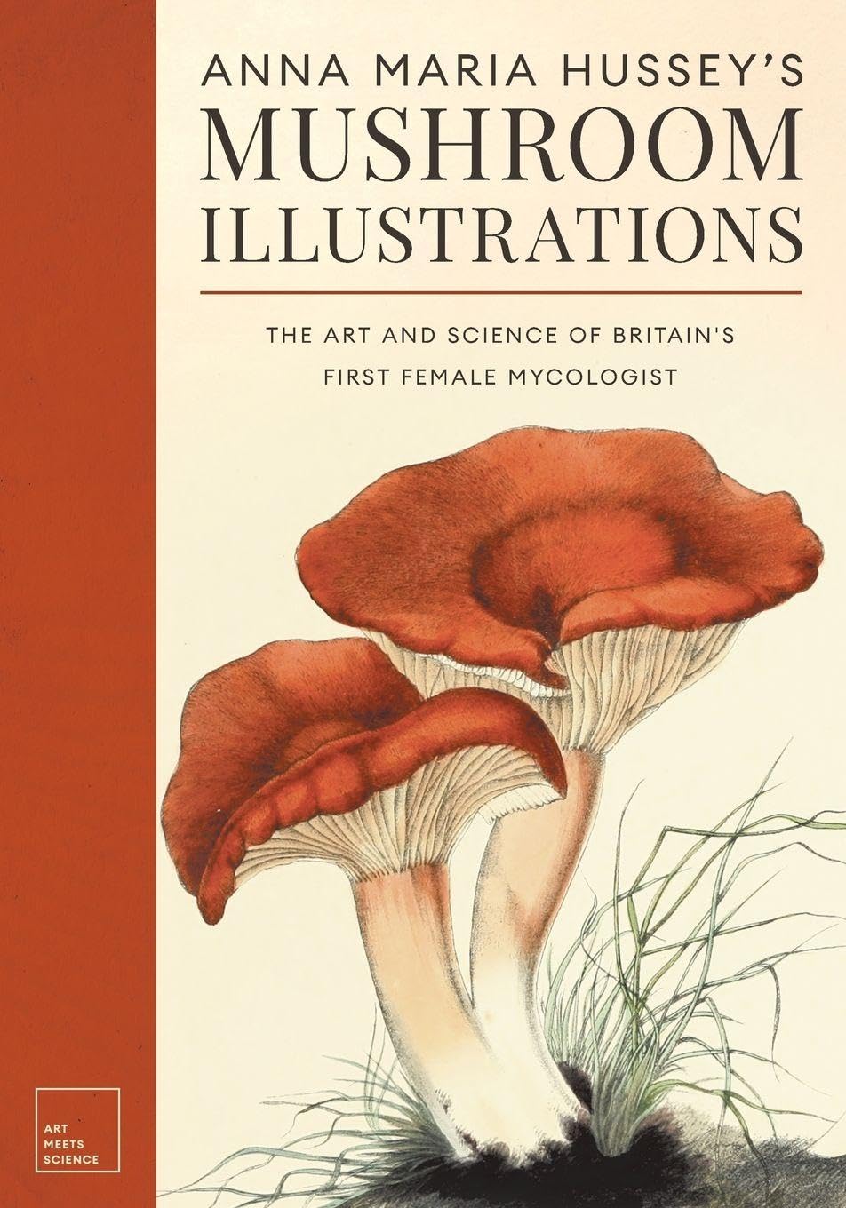 Anna Maria Hussey's Mushroom Illustrations Mathematics